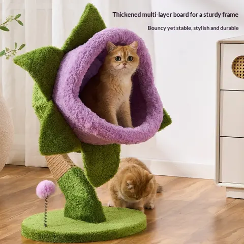 Big-Mouth Flower Carnivorous Plant Cat Climbing Frame