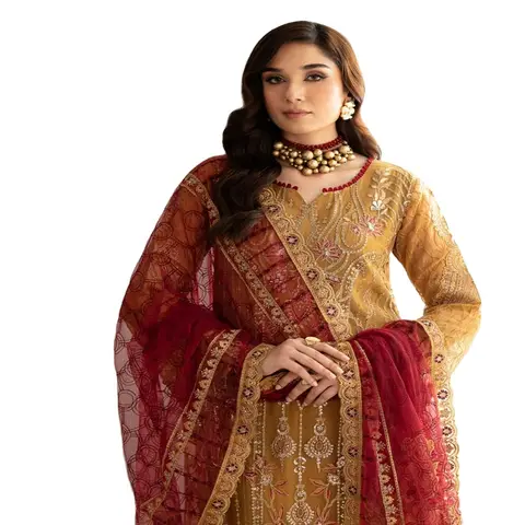 تشكيلة الشيفون الفاخرة، فستان زفاف باكستاني نسائي لهنجا تشولي بتطريز ثقيل، رامشا Vol R-11 جاهز للحفلات الهندية